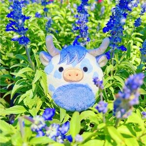 RARE Conway plush clip-on 3.5” squishmallows™ cow.